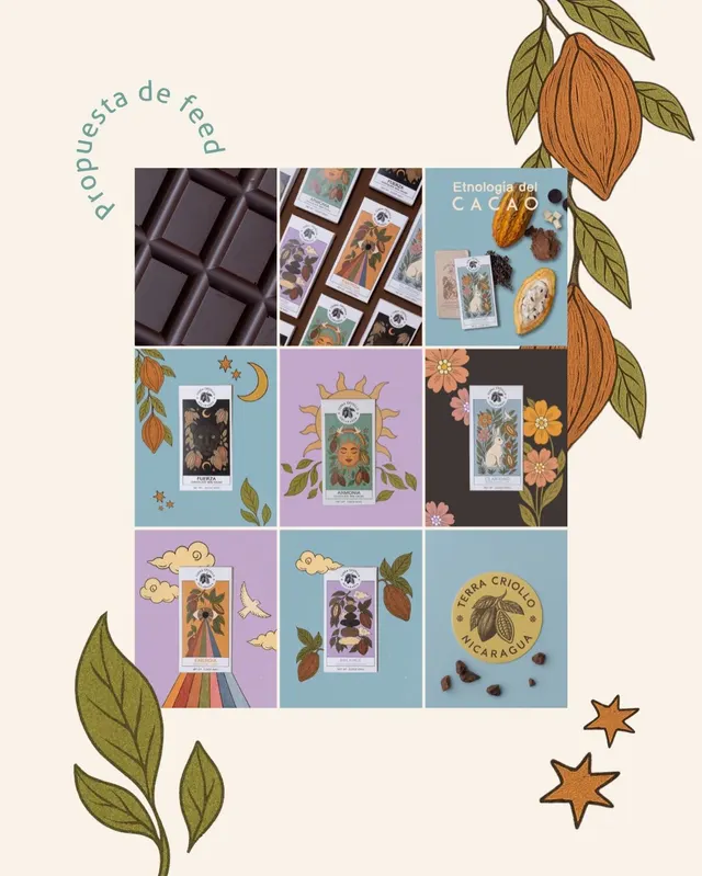 Propuesta de feed para Terra Criollo en lila, celeste y negro